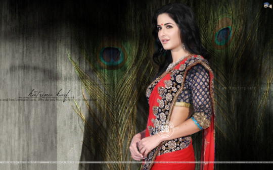 make you on poster - Woman Wearing Indian Garment - katrina_kaif_136a.jpg