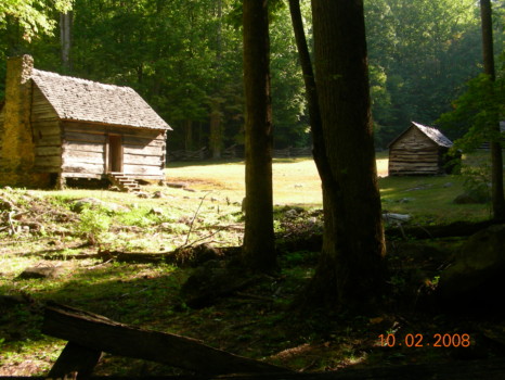 poster brain - Log Cabin In The Woods - DSCN1296_1.jpg