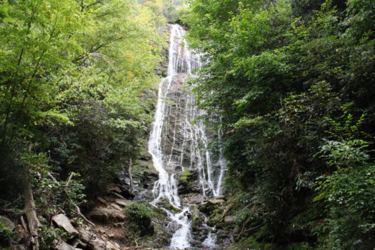 poster brain - Water Fall - IMG_5451_1.jpg