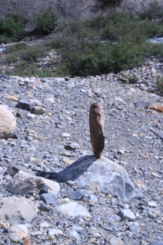 poster - Prairie Dog - IMG_9697.jpg