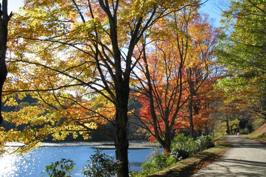 posterbain -  - BlowingRockLake24x36.jpg