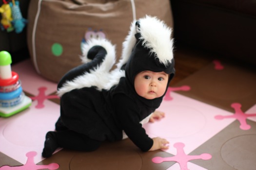 posters - Baby's Black Skunk Costume - IMG3231JPG.jpg