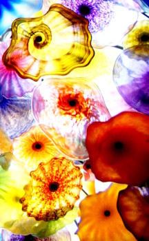 print a poster - Colored Shells - office_1.jpg
