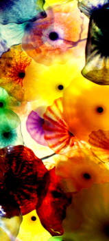 print a poster - Colored Artwork - office_2.jpg
