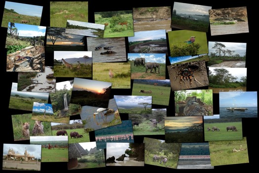 poster printing online -  - collagemax2.jpg