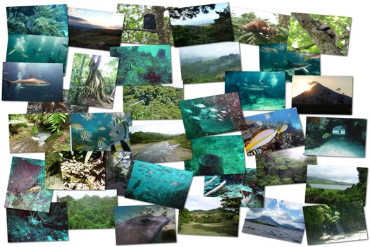 poster printing online -  - collagemax.jpg