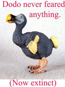 print a poster - Dodo Never Feared Anything - dodo_bird_plastic_sign_1.jpg