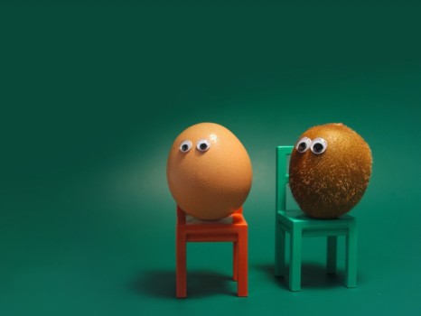 print a poster - Egg Kiwi On Chairs - Eggs_on_chairs_1280_960.jpg