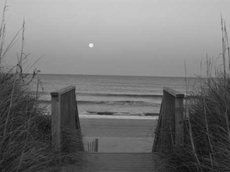 create - Beach - NewCamera111.jpg