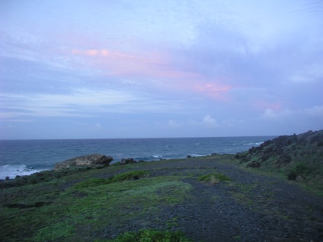 blow -  - HawaiiDay2054.jpg