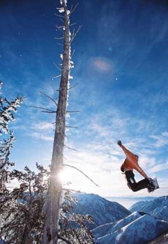 print a poster - Skydiving - Pic_2.jpg