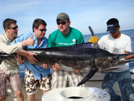 pictures into posters - Swordfish - Haulin_inThe_Beast.jpg