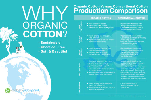 print a poster - Why Organic Cotton - CPD_24x16_POSTER_2.jpg