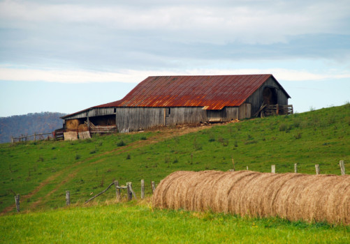 print a poster - Farm House - DSC_0206.jpg