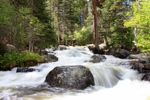 print a poster - River Rocks Trees - 00IMG_1597.jpg