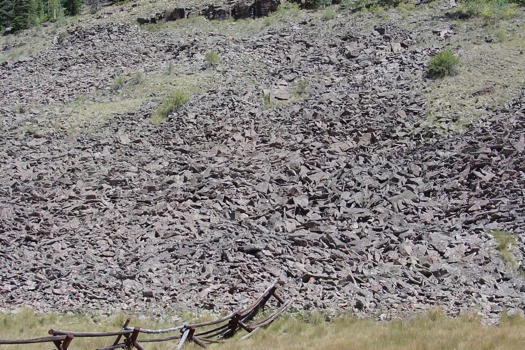 24 - Weeds Hillside Wood Fence - RockSlide.jpg