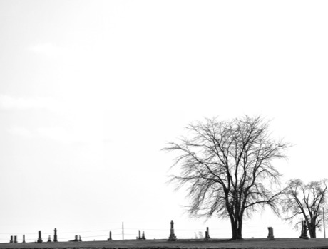 print a poster - Trees - BillHussChapelCemetery.jpg