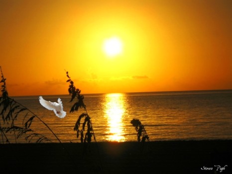 where - Sunset Ocean - beach.jpg
