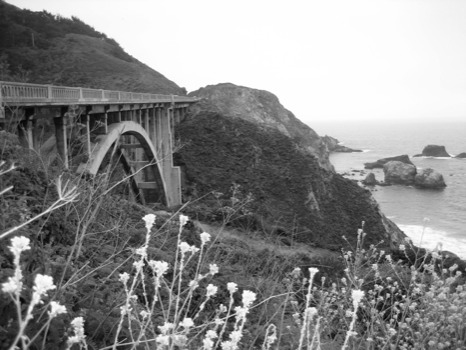 posterbrain - Bridge - IMG3456JPG.jpg