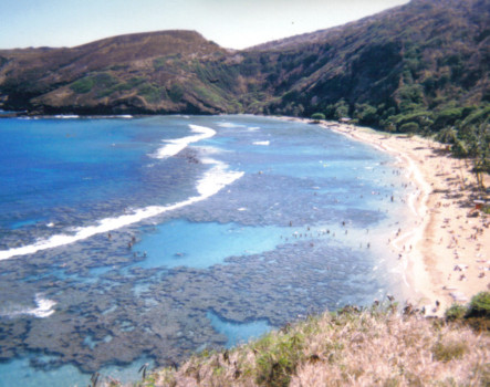 posterbrain - Beach - Hawaii_ST_1.jpg