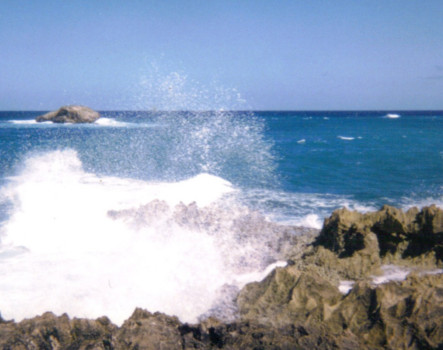 posterbrain - Sea Rocks - Hawaii_ST_2.jpg