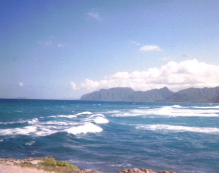 posterbrain - Ocean - Hawaii_ST_32.jpg