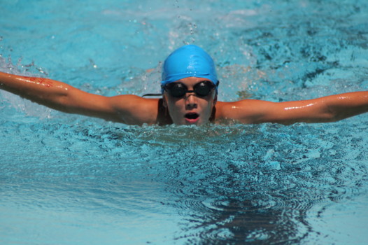 poster size prints - Swimming Pool - br_fly.jpg