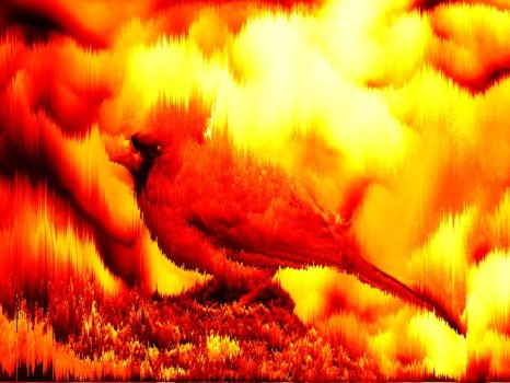 print a poster -  - Hell_Bird.jpg