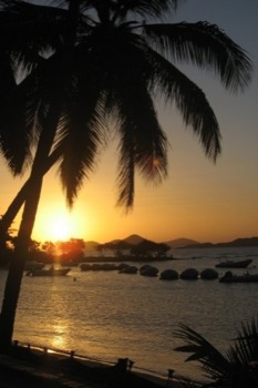 posterprintshop - Palmtree Beach Sunset - StJohnsunset.tif