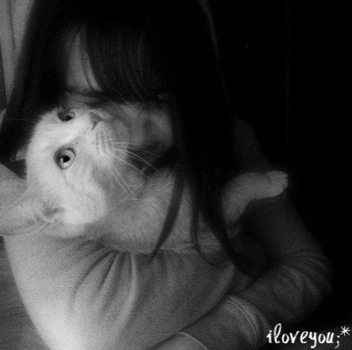facebook - Cat - 216801214177611928878100000099.jpg