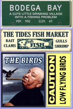 posterbrain - Bodega Bay Signs - The_birds.bmp