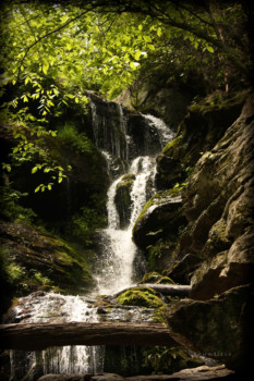 posterbrain - Waterfalls - 1_of_1_6_1_3.jpg