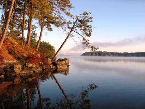 make - Trees - IMG_1794.jpg