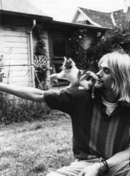 blow - Cat - 600full-kurt-cobain_(1).jpg