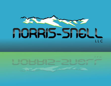 photo posters  - Norris Snell Llc - Logo3.tif