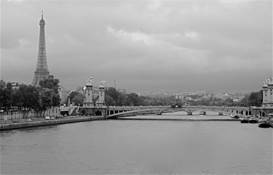 36 by 24 photo enlargements - Eiffel Tower - 102_2721_2.jpg