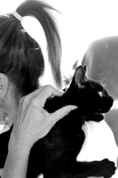24 x 36 poster prints - Cat - 4780.jpg