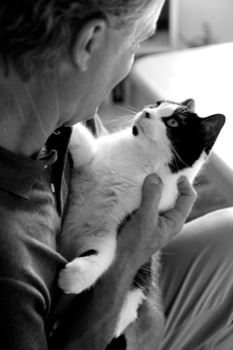 24 x 36 poster prints - Cat - 4787.jpg