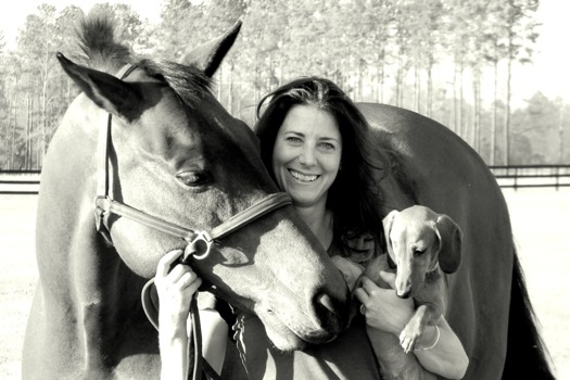 24 x 36 poster prints - Horse - 3152.jpg