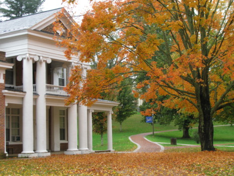 print a poster - Building Trees Fall Colors - IMG_3112.jpg