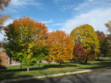 print a poster - Landscape Fall Colors - IMG_3290.jpg