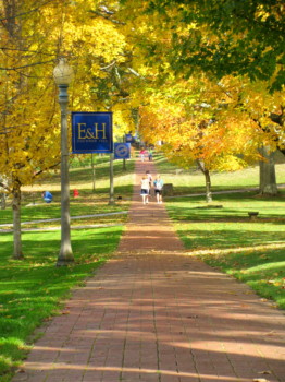 print a poster - Landscape Trees Brick Walkway - IMG_3292.jpg
