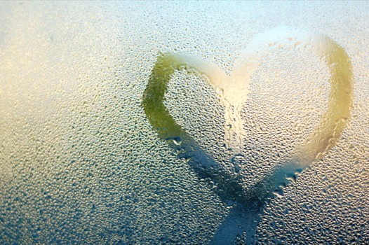 print a poster - Condensation - DSC0739copy.jpg