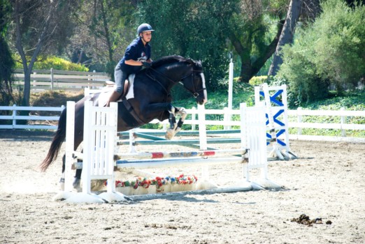 make posters - Horse - DSC_0127.jpg