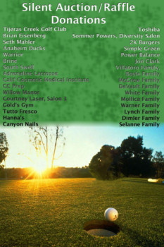 Cheap - Silent Auction Raffle Donations - Silent_Auction.jpg