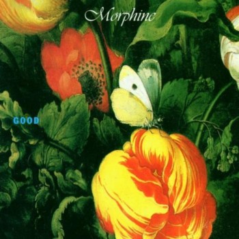 how - Morphino - morphine.jpg