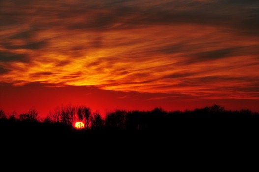 posterbrain - Sky - DSC_0070_11_.jpg