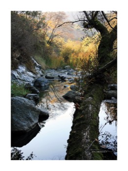 print a poster - Pond - SunolLittleYosemite18x24522500.jpg