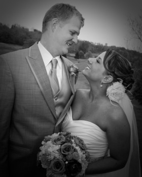 print a poster - Strapless Wedding Dress - Our_Wedding_039.jpg