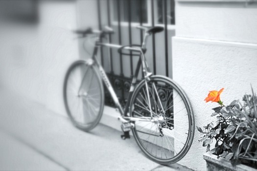 photo poster printing - Bike - 015A.jpg